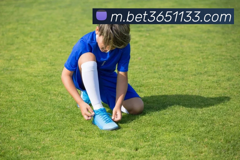 bet365中国官网APP 封面图